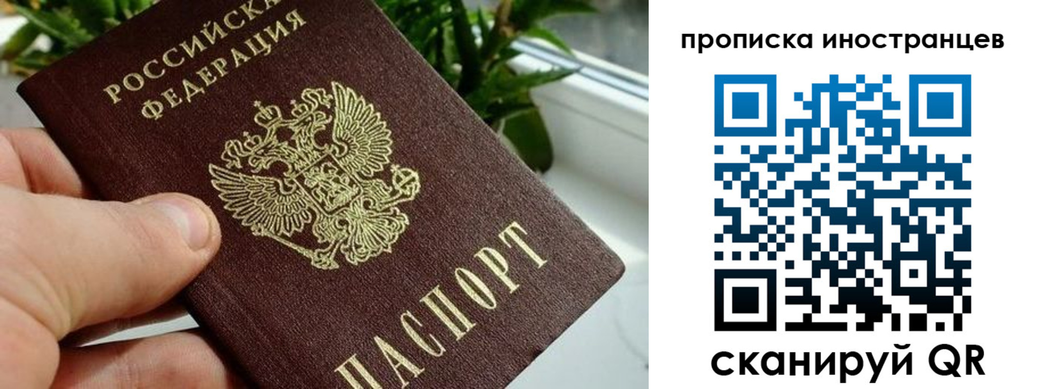 временная регистрация в Зее
